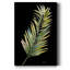 Frond II - reproduction de cadre photo sur papier-741244992-741245021
