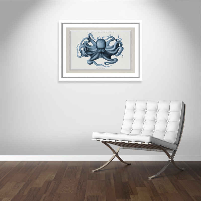 «Atlantic Marine Museum Octopus II», cadre photo, Papier encadré blanc / argent, H 31,75 po x l 43,75 po x P 1,125 po