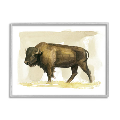 " Bison Rural Animal Watercolor "