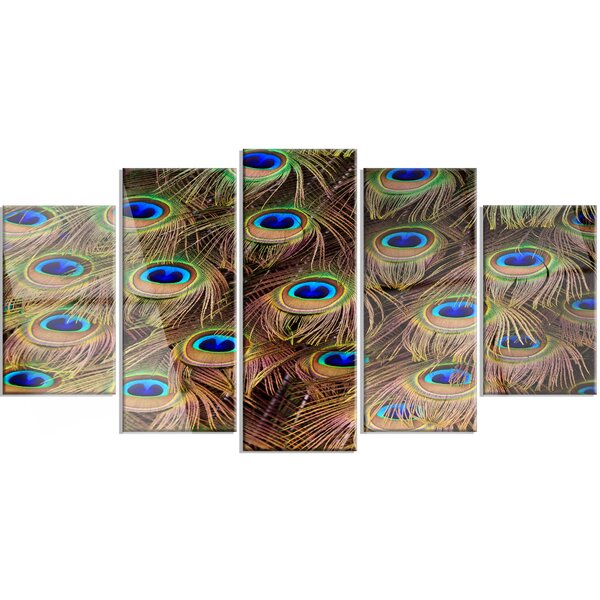 DesignArt Peacock Bird Tail Feathers In Close-Up On Canvas 5 Pieces ...