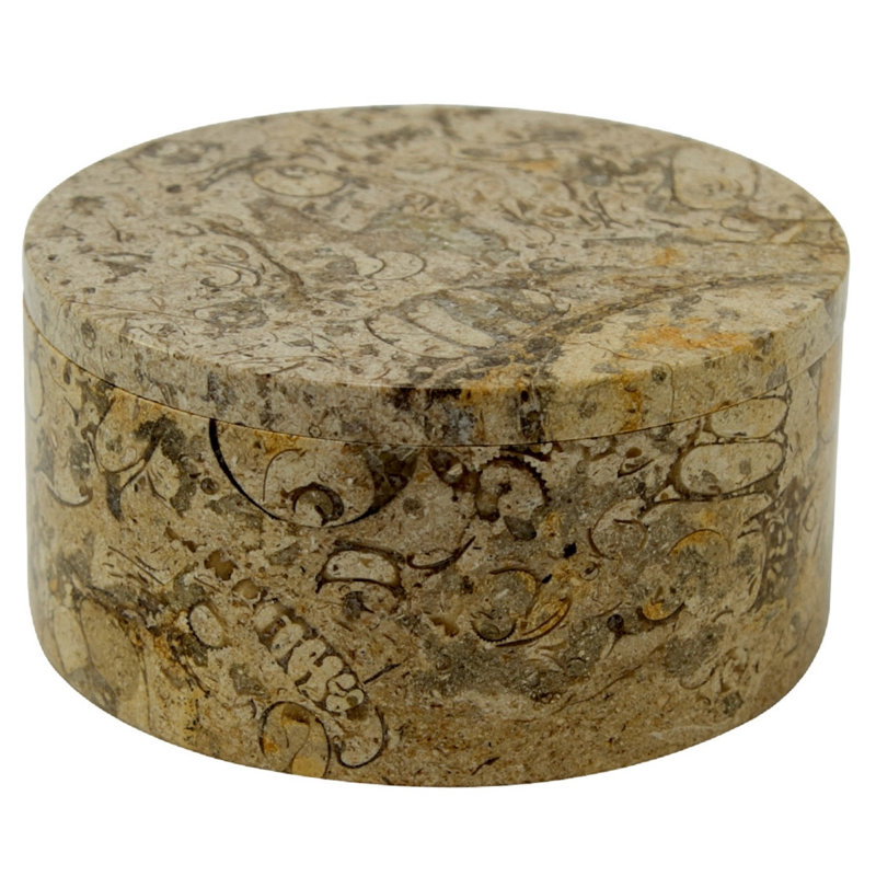 Boîte à accessoires trinket Coulter, Pierre fossilisée