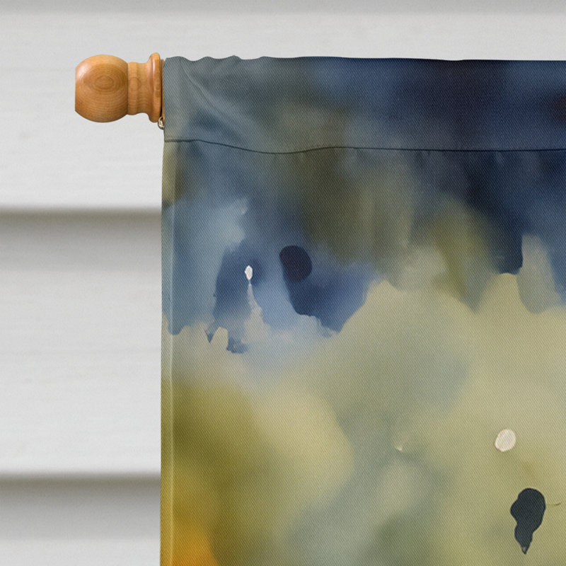 Drapeau de maison en polyester à double face H 40 po x l 28 po