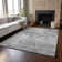 Premium Machine Washable Prisco Gray Rug