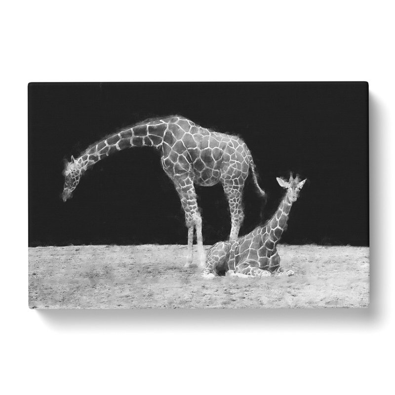 Two Giraffes Vol.3 - Wrapped Canvas, 50cm H x 76cm W x 3cm D