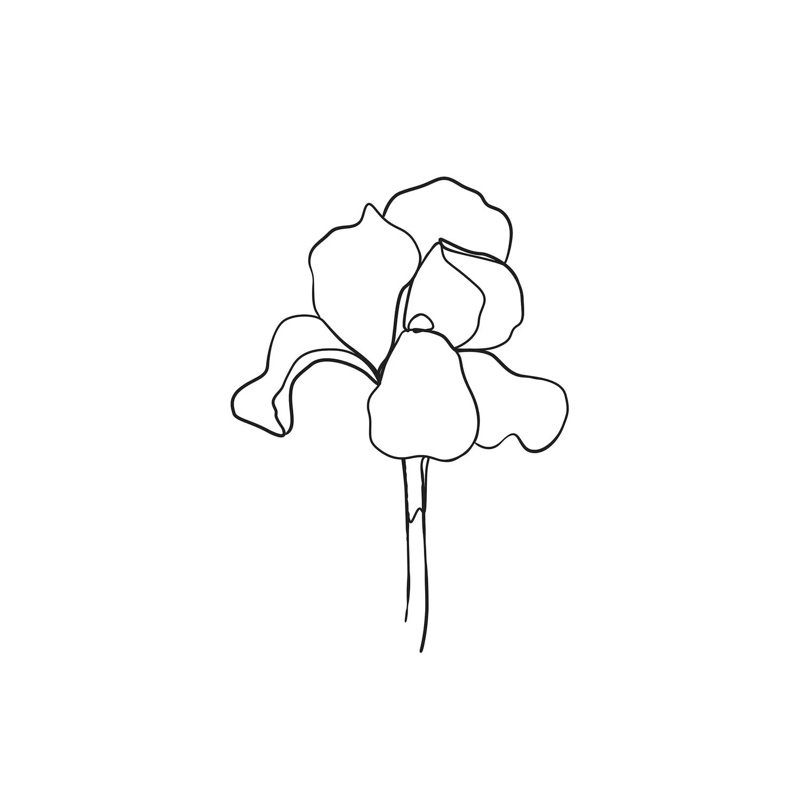 Botanical No. 5 by Blek Prints - Wrapped Canvas Square Print, 30.48 cm H x 30.48 cm W