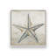 «Cape Cod Starfish» par Nicole DeCamp, reproduction d'art-1699192984-1699192973-1699192985