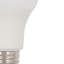 5 Watt (40 Watt Equivalent), A19 LED, Non-Dimmable Light Bulb, E26/Medium (Standard) Base-124393166-98344847-124393168