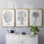 Toile encadrée de qualité supérieure B&W Plant Spechantillon I - prête à être accrochée-69981800-69981801