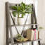 Perseus 79cm W Ladder Bookcase-1653274192