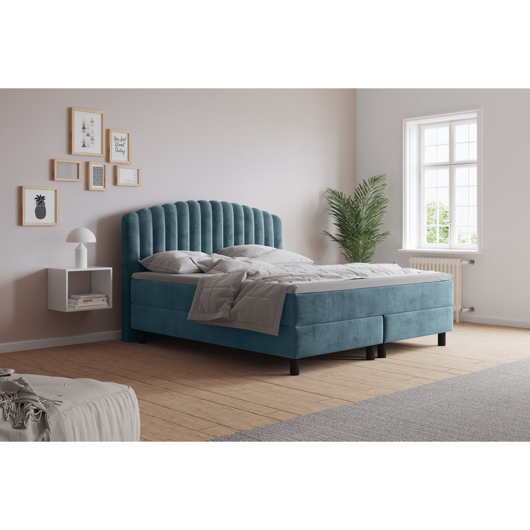 Boxspringbett Adinath mit Kaltschaum Topper, mit Samtstoff bezogen