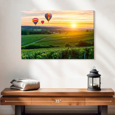 Ballons Alvord au-dessus du vignoble