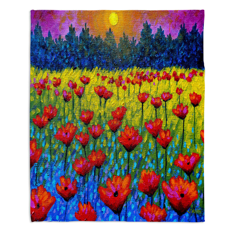 Couverture sherpa douce twilight, l 68 po x L 80 po