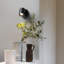 Koto 1 - Light Spotlight-81360781