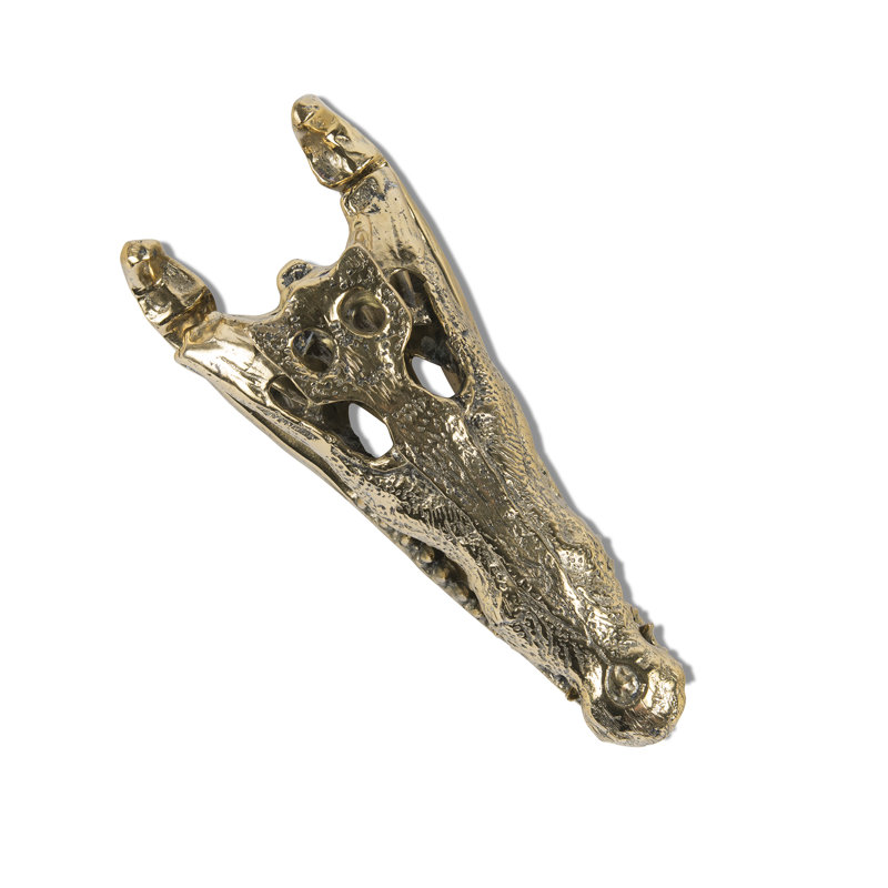 Tête de crâne alligator