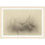 Wispy Blooms Print