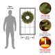The Holiday Aisle® Norwood Fir Wreath with Battery Operated Multicolor LED Lights