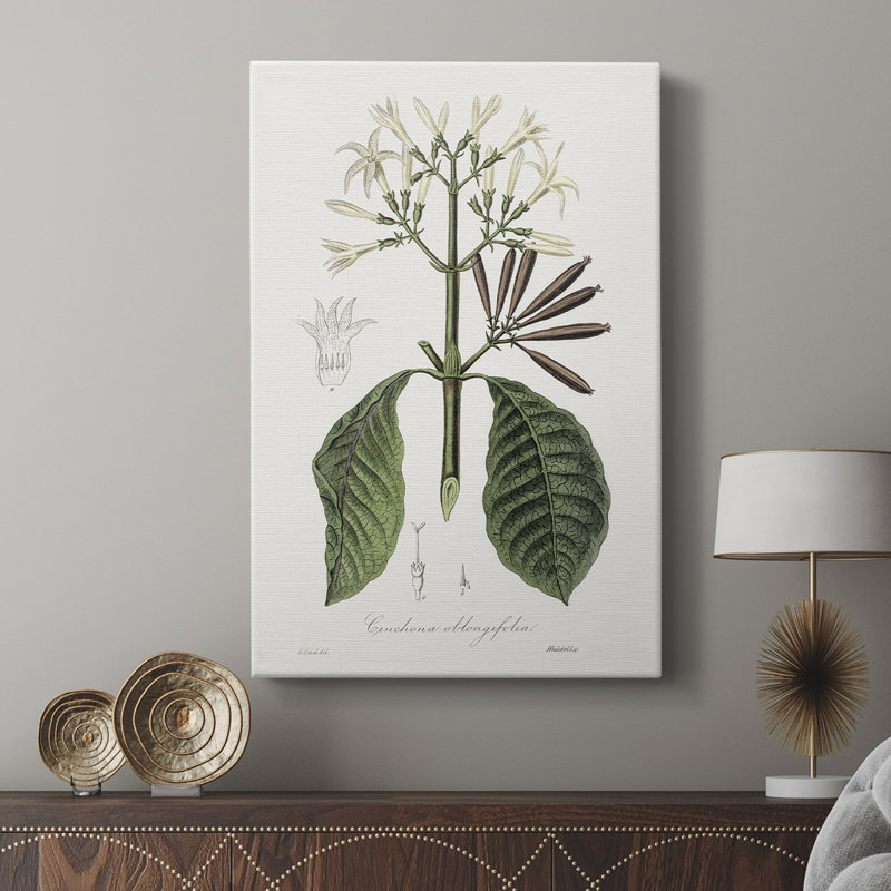 Tropical Botanical IV - Cavas enveloppés de galerie, H 27 po x l 18 po