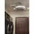 Angelise 22.88'' Ceiling Fan with LED Lights-1301316324