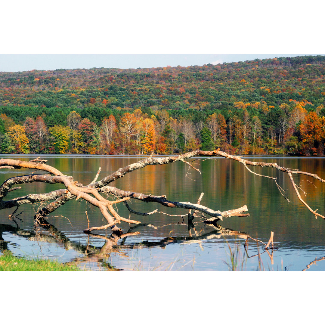 Public Lake von PeteMuller - Kunstdrucke auf Leinwand ohne Rahmen