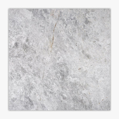 24 in. x 24 in. Marble Tile