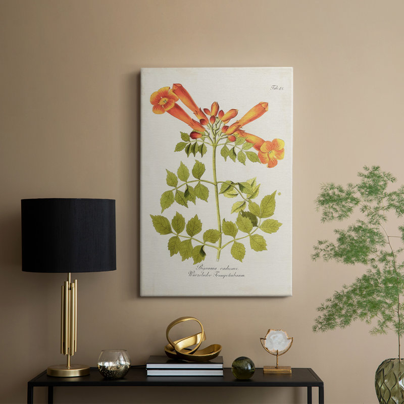 Fleurs tropicales de la trompette III - Cavas enveloppés de galerie