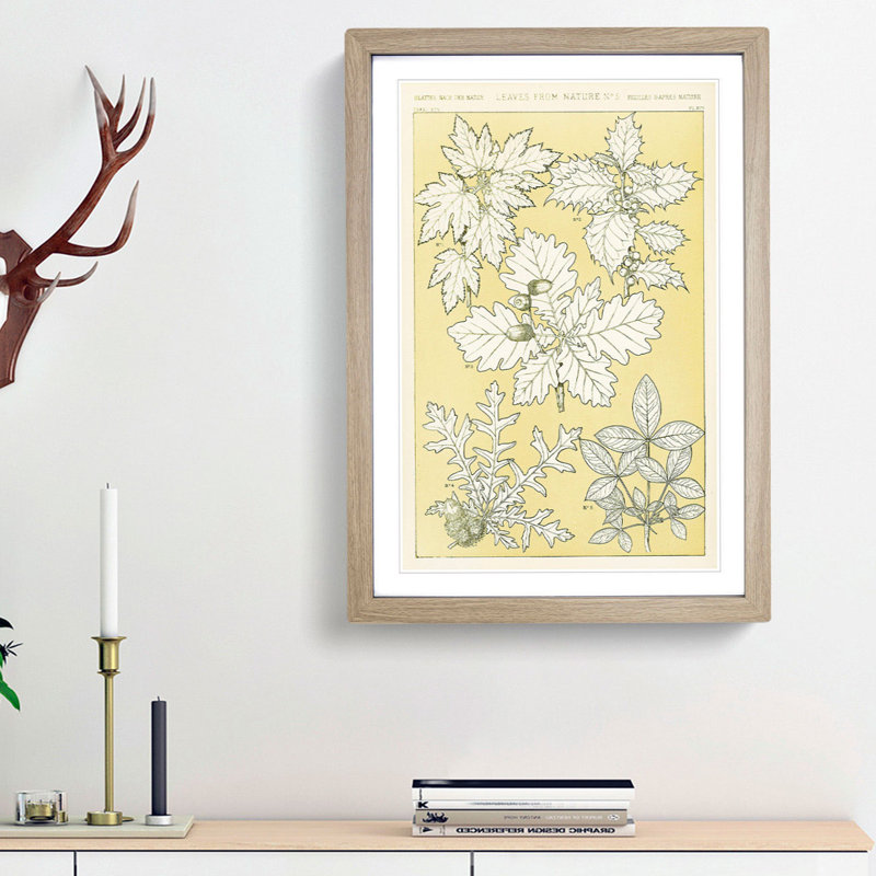 Leaves from Nature No. 5 by Owen Jones - Picture Frame Painting Print, Oak Framed, 36cm H x 27cm W x 2cm D