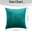 Aspire Homeware Embossed Square Velvet Cushion Cover-1369239078-1367818245
