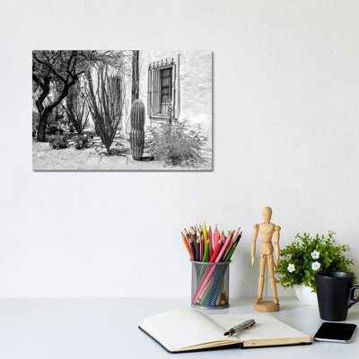 Beautiful Desert Plants by Philippe Hugonnard - Wrapped Canvas Print