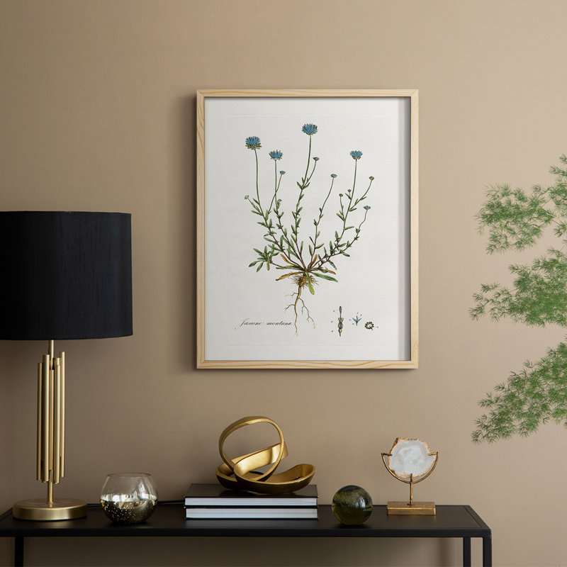 Bellflower Study Framed Print - Solid Wood