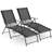 Sarie Outdoor Metal Chaise Lounge Set-619044792
