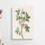 Tennessee Warbler Bird by John James Audubon - Wrapped Canvas-55358597