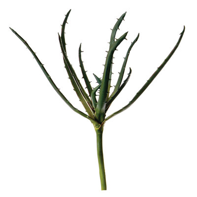 Arrangement