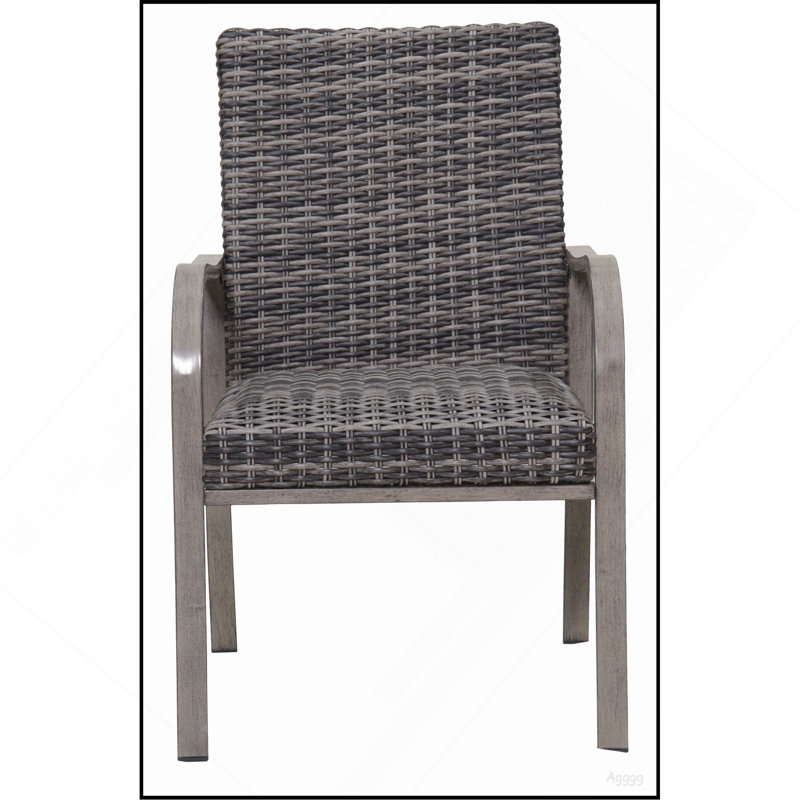 Chaise de salle à manger d'extérieur 2 pièces, structure peinte à la main, siège en coton lavé à l'eau pour le jardin, la cour et la piscine