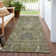 Machine Washable Indoor/Outdoor Chayil ACN1082 Taupe Rug