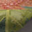 Akera Pink/Green/Plum Indoor/Outdoor Rug-2123136000