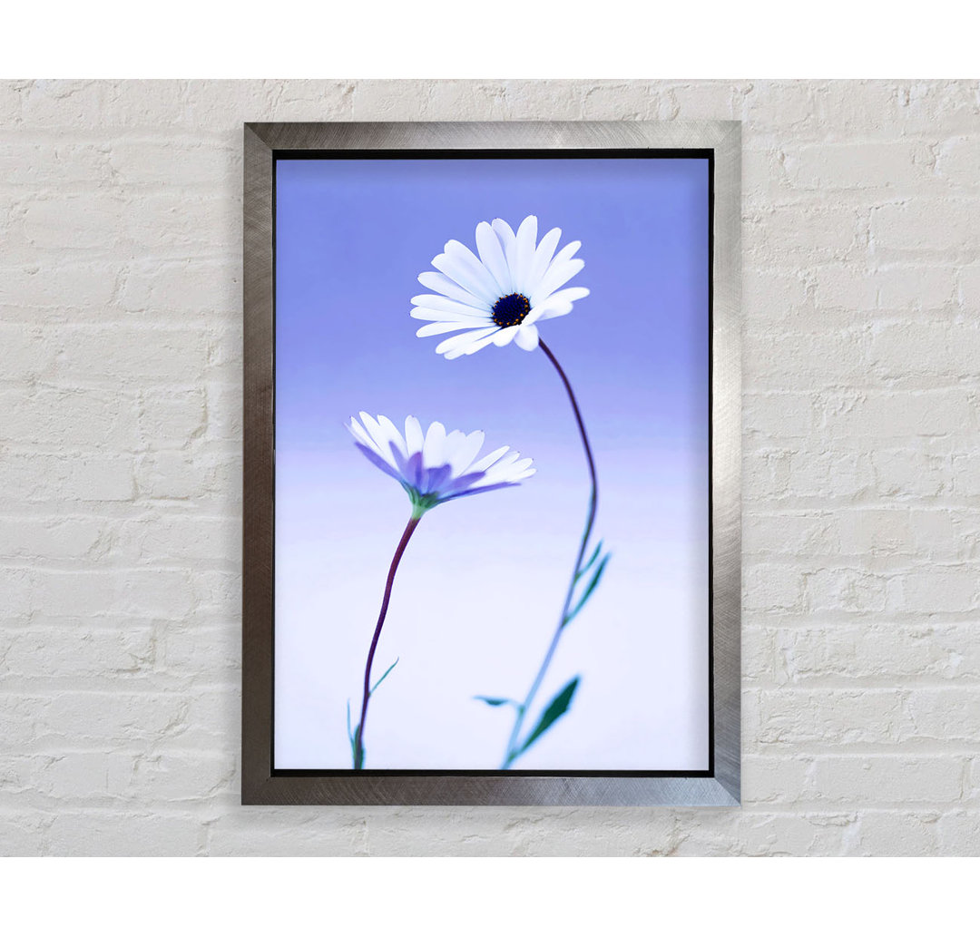 Kunstdruck White Daisy Duo On Lilac