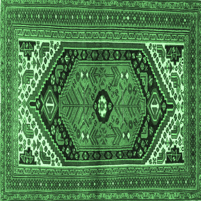 Washable Oriental Indoor Rug