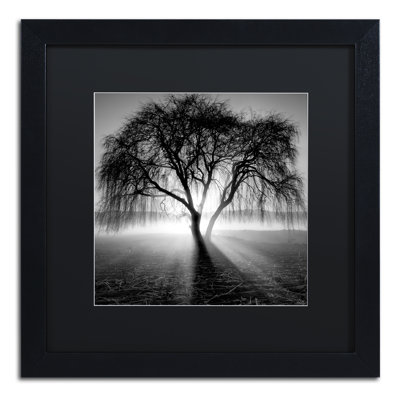 « lightning tree i » par moises perçu, reproduction de photo encadrée