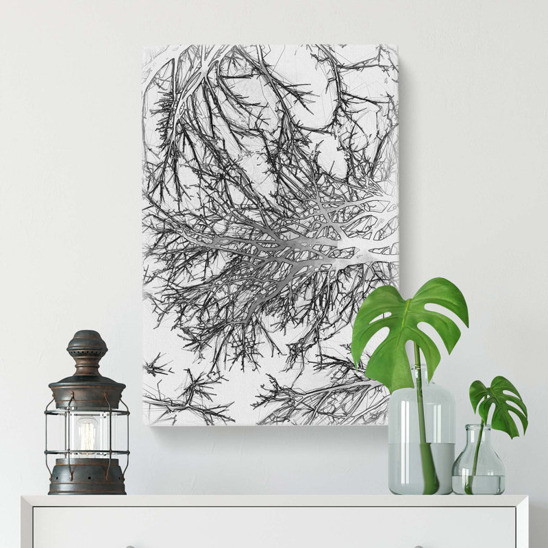 Tree Branches in Central park New York in Abstract - Wrapped Canvas, 91cm H x 60cm W x 3cm D