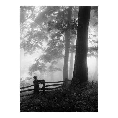 Joe L. Hartley dans les bois brumeux par Hugh Morton - Estampe numérique