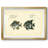 " Bloch Antique Fish II "-1316771572-1316771563