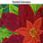 Poinsettia 40" Windsock