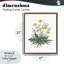Cadre flottant Dandelion Flower Illustration, design par Cecilia Battaini-216163594-216163597