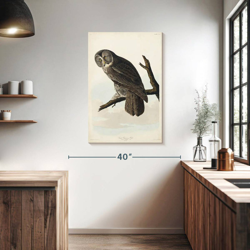 Brampt Great Cinereous Owl, 39" H x 26" W