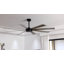 60 po Ventilateur de plafond 8 pales à double face noir et noyer avec télécommande DC, doré-487715746-487715744-487715750