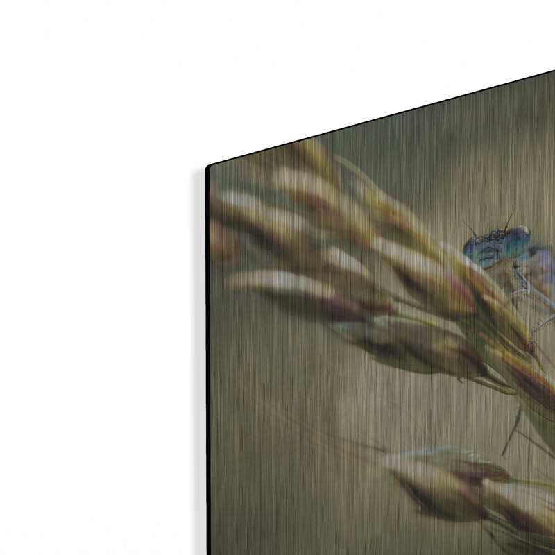 "Damoustie" par Martin Podt, H 12 po x l 16 po