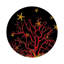 Napperon Coral Reef-117536474