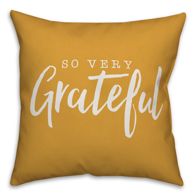  Housse de coussin lombaire so So Grateful
