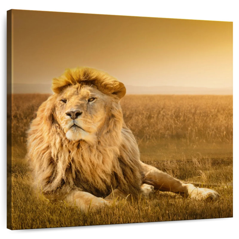 Crowle Glorious Lion In Safari, H 10 po x l 10 po