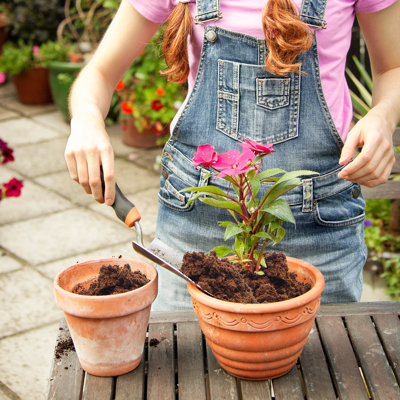 Paquet de 4 briques de coco de coco compressées de qualité supérieure, substrat de fibres de noix de coco biologiques à faible teneur en ph et en EC, milieu de culture de plantes naturelles pour le jardinage intérieur et extérieur